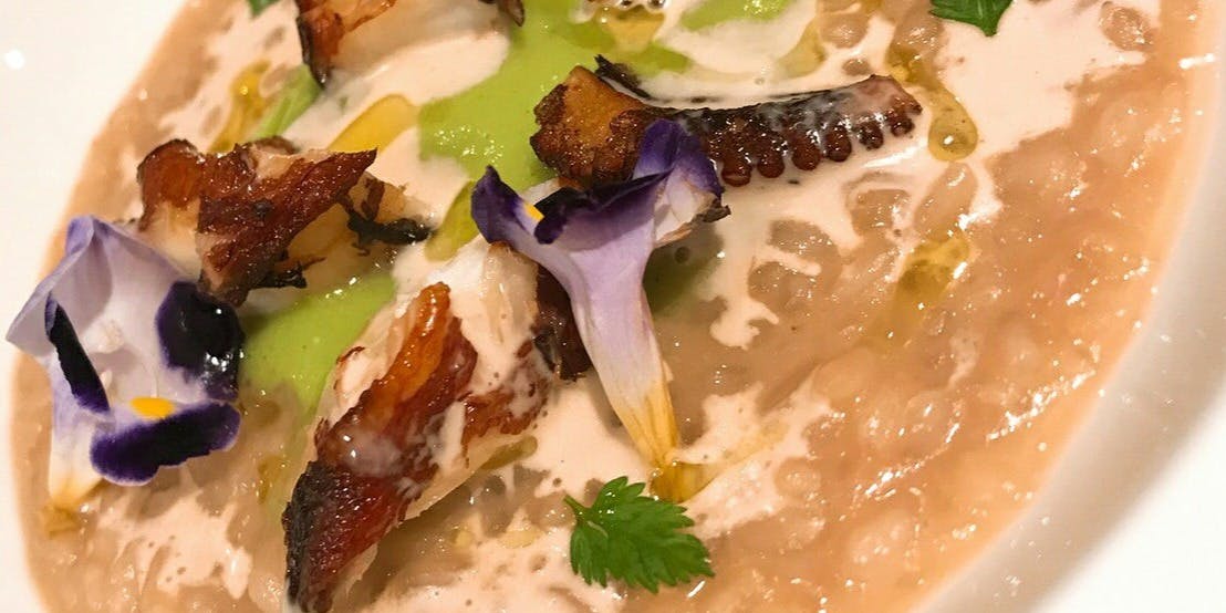 ディナー リストランテ ステファノ エ トモコ Ristorante Stefano E Tomoko 大濠公園 イタリア料理 一休 Comレストラン