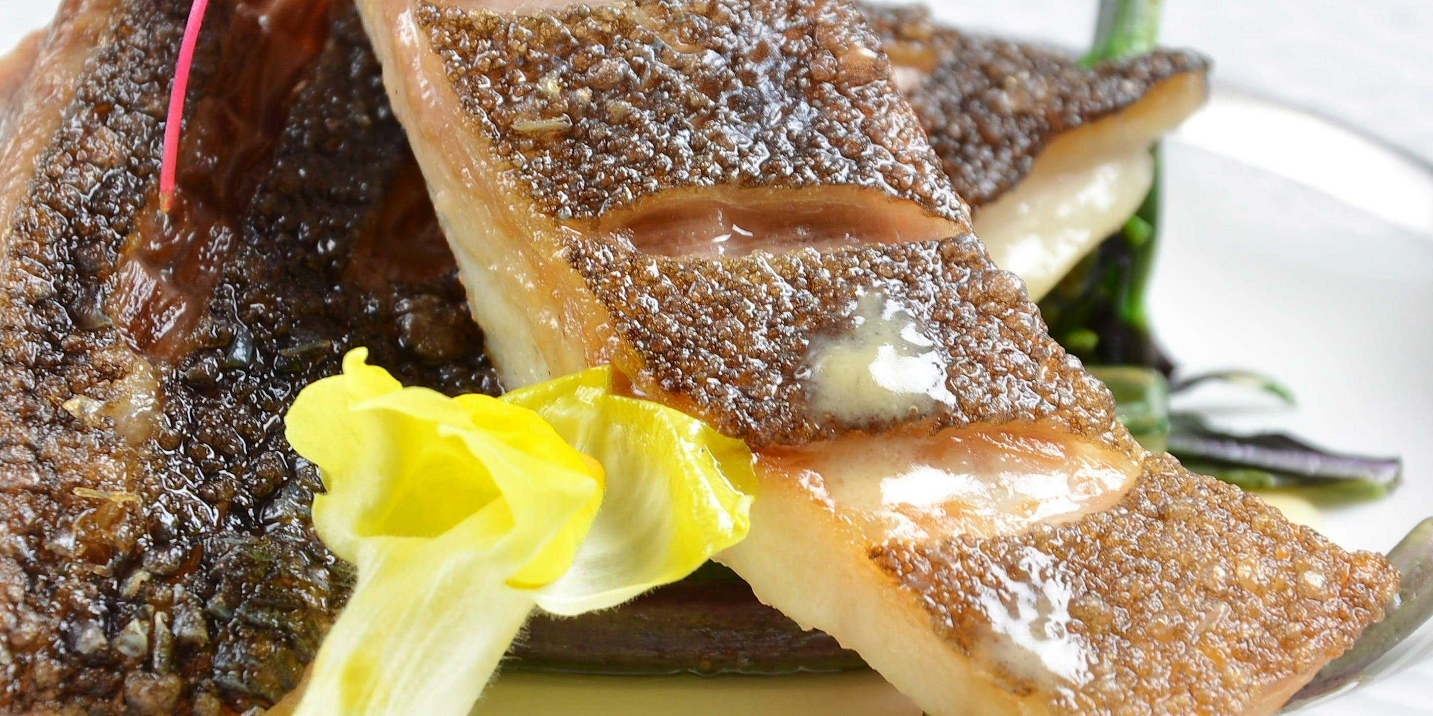 鉄板ダイニング 藤彩（TEPPAN DINING TOUSAI）