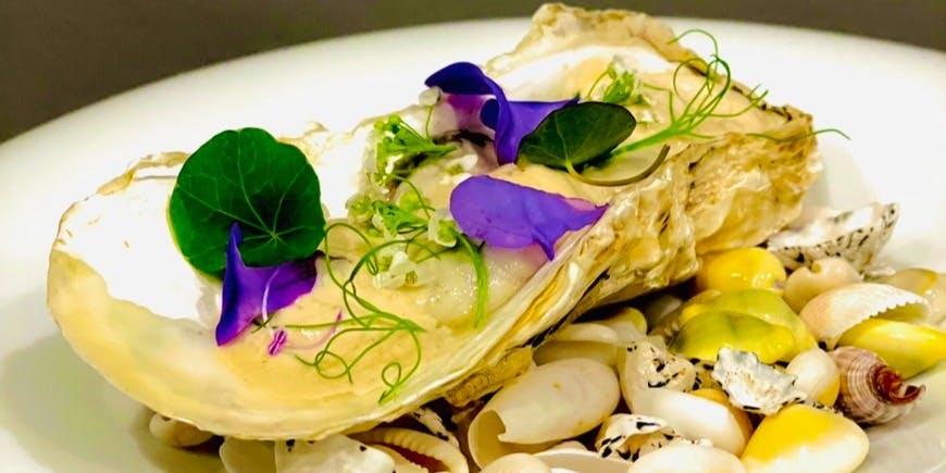 イタリアンニトロ - 画像12