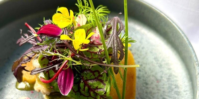 【Xmas2025】クリスマスおまかせコース　18時から一斉スタート　お時間厳守でお願いします（18時～）