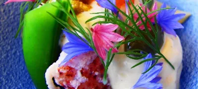 万博記念公園周辺ディナー 30件 おしゃれ人気店 絶品ディナーグルメ 21年 一休 Comレストラン 万博記念公園周辺ディナー 30件 おしゃれ人気店 絶品ディナーグルメ 21年 一休 Comレストラン