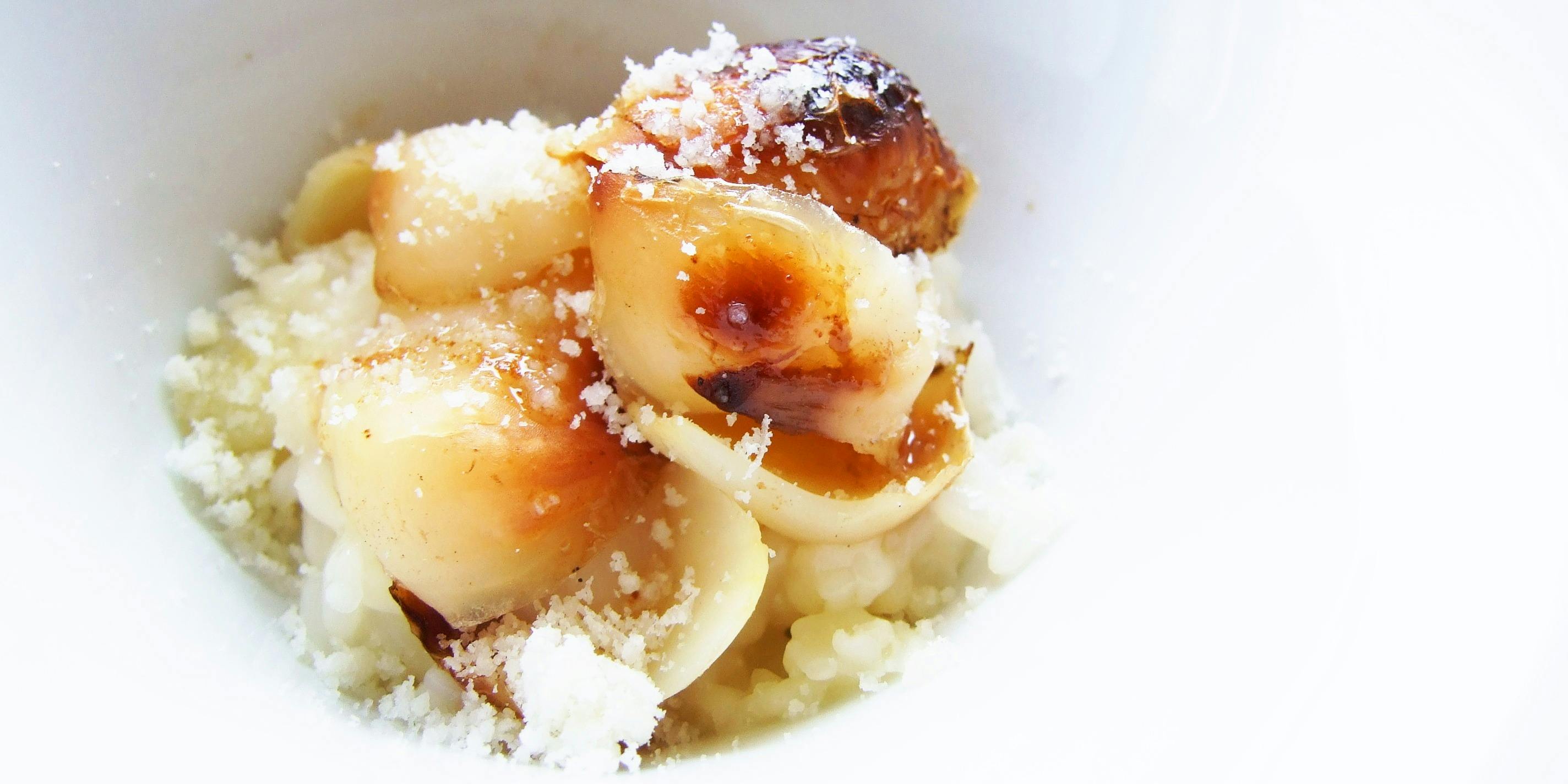 トラットリア イル フィオレット（Trattoria il Fioretto）