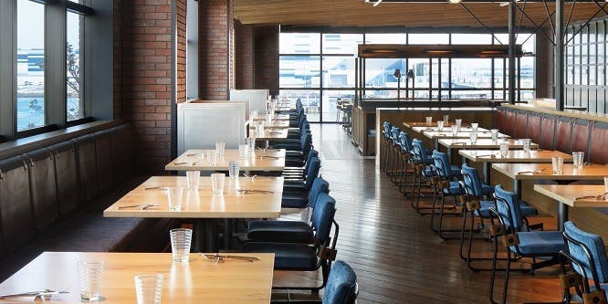 エボリューション（Evolution）