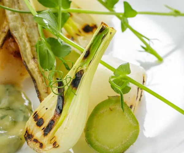ディナー 女子会 野菜ビストロ レギューム Okaimonoモール レストラン ディナー 女子会 野菜ビストロ レギューム Okaimonoモール レストラン