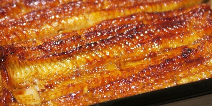 恵比寿 鰻 松川 エビス ウナギ マツカワ 恵比寿 うなぎ 一休 Comレストラン 恵比寿 鰻 松川 エビス ウナギ マツカワ 恵比寿 うなぎ 一休 Comレストラン