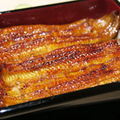 土佐備長炭で焼き上げるフワッととろける「幻の鰻」