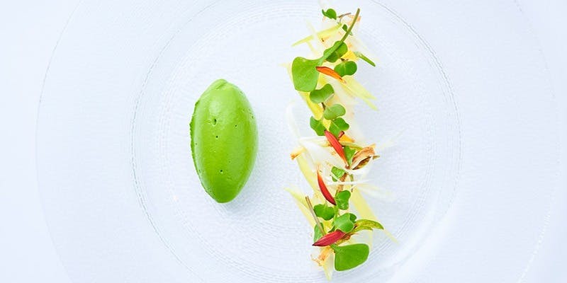 Concept 1/f - 画像8