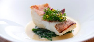 赤坂 福岡 ランチ22 おすすめ 絶品お昼ごはん10選 一休 Comレストラン 赤坂 福岡 ランチ22 おすすめ 絶品お昼ごはん10選 一休 Comレストラン