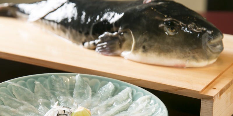 【記念日・ビジネスディナーに】旬食材の懐石＜河豚・黒毛和牛など＞コース＋お料理のみ