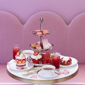 ���f���� �T�����E�h�E�e �R�X