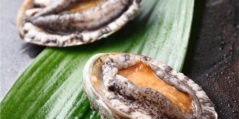 【ペアランチ】華～活鮑と黒毛和牛など～（即時予約プラン）