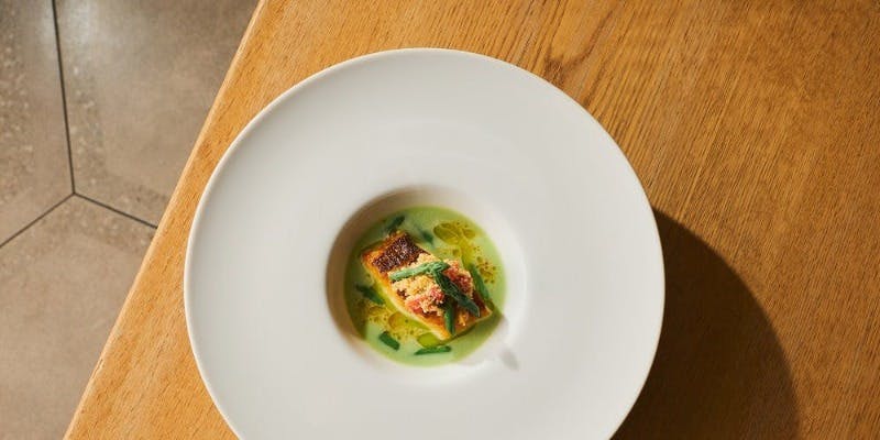 SCALAE�^THE THOUSAND KYOTO