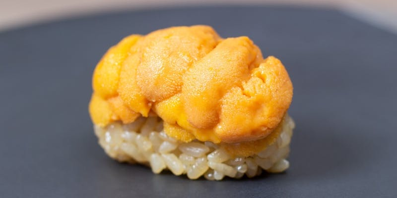 おまかせ握りコース【極】