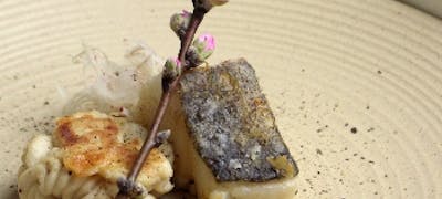 中之島公園周辺ランチ21 おすすめ 絶品お昼ごはん17選 一休 Comレストラン 中之島公園周辺ランチ21 おすすめ 絶品お昼ごはん17選 一休 Comレストラン