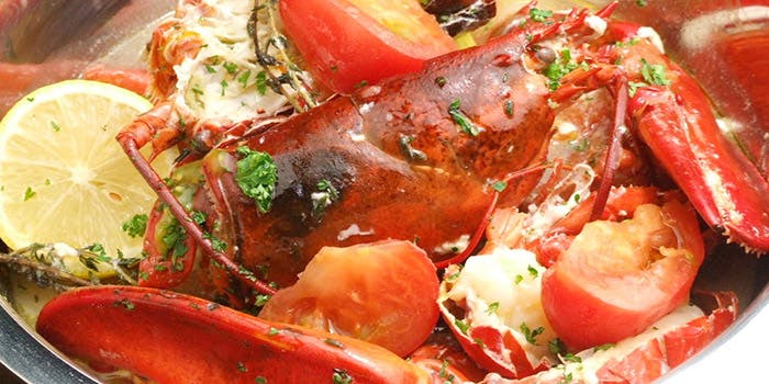 アニマリベラ（Anima Libera）