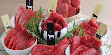 【エイジングコース】肉11種盛合わせ - 熟成和牛焼肉 エイジングビーフ横浜店