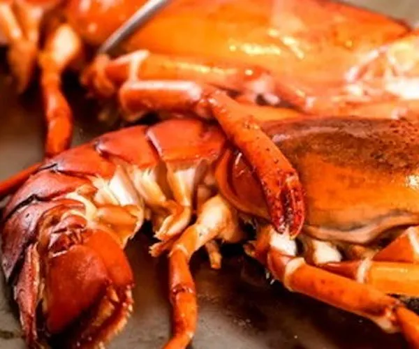 鉄板焼 神戸ステーキ 花ほうび Okaimonoモール レストラン 鉄板焼 神戸ステーキ 花ほうび Okaimonoモール レストラン