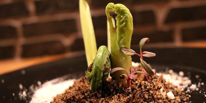 神楽坂chouchou - 画像9