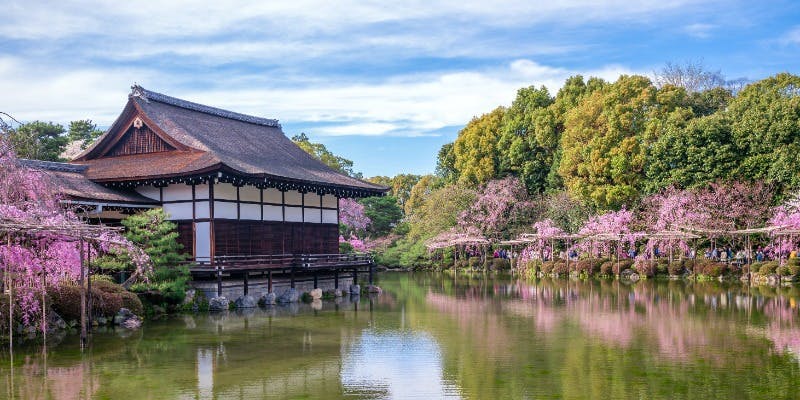 【桜×春の味覚を堪能】7種の前菜、仔羊のメインなど5品＋神苑チケット付き