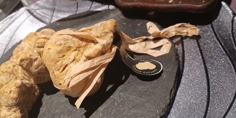 【期間限定】白トリュフをたっぷり使った特別コース