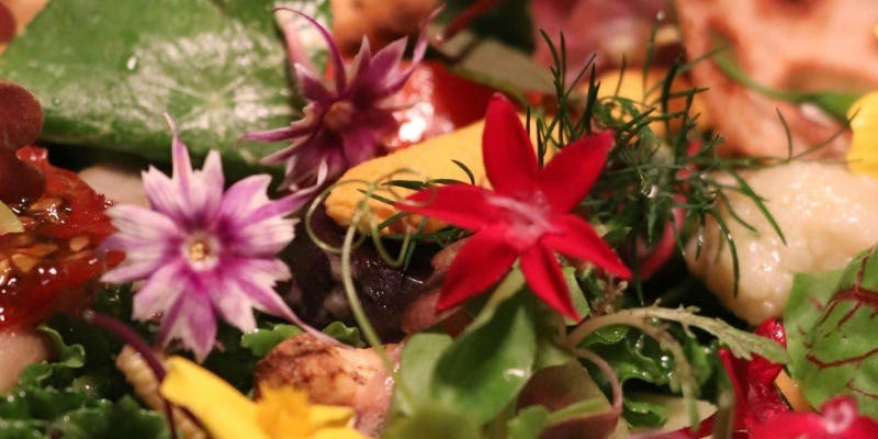 【オーガニックベジタブルアートと魚のコース】