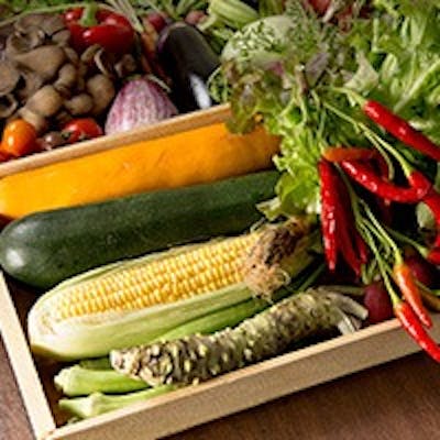 厳選した旬食材をフレンチで