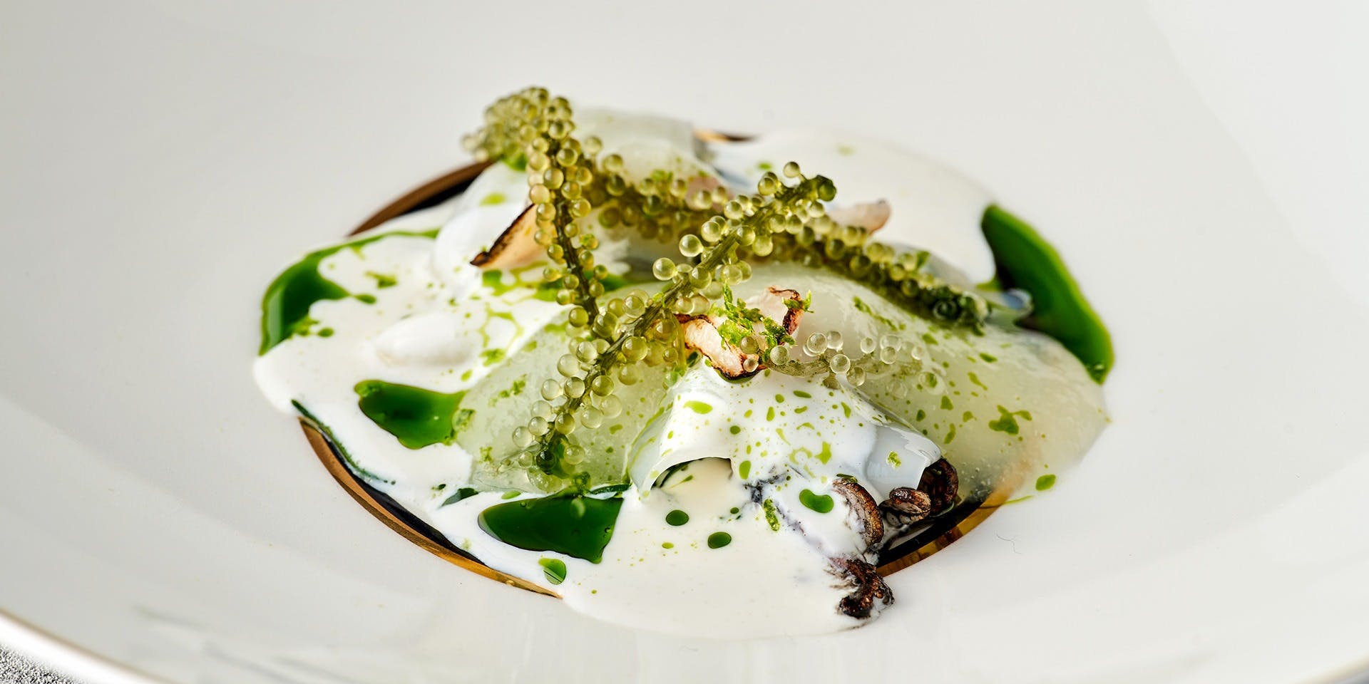 クイントカント（QUINTOCANTO） 3枚目