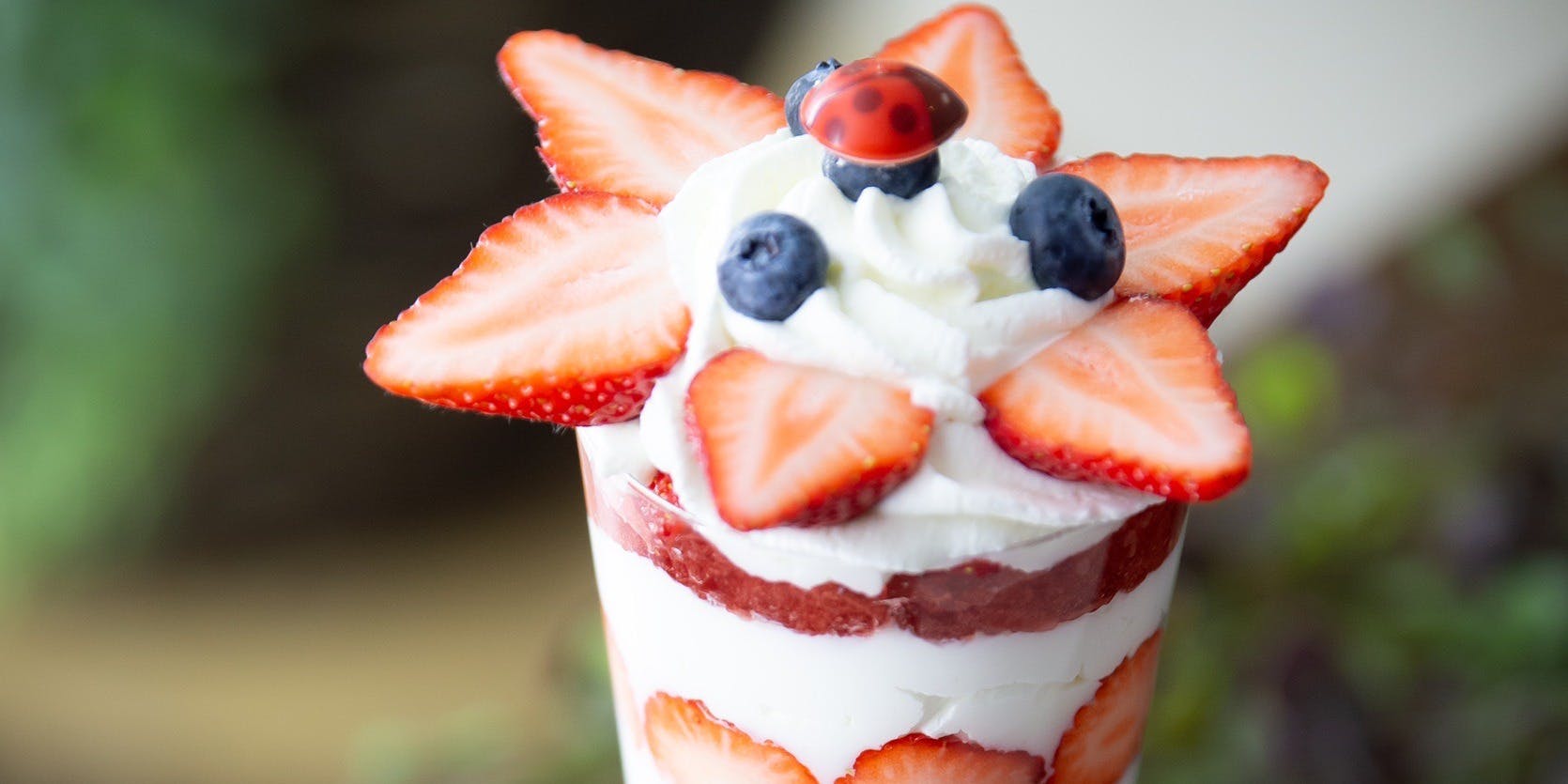 Assiette Dessert Maruyama