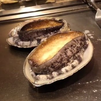 �S��Izumi�`���񂩂��`