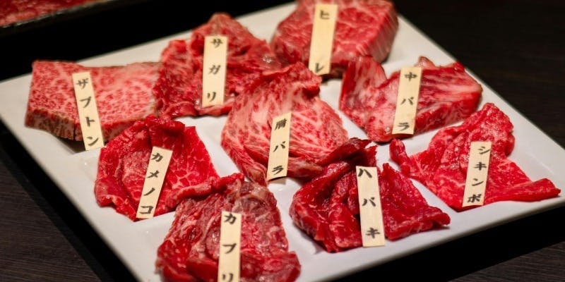 BeefGarden �b���