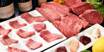 【一頭買いコース】黒毛和牛の厚切り・霜降り・赤身など15部位食べ比べ - BeefGarden 恵比寿