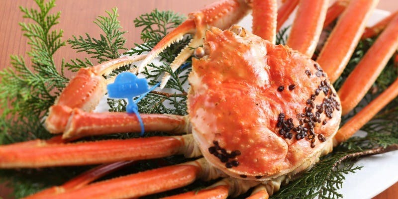 【冬但馬の恵ディナー】松葉蟹一杯相当と但馬牛熟成肉をお楽しめるコース