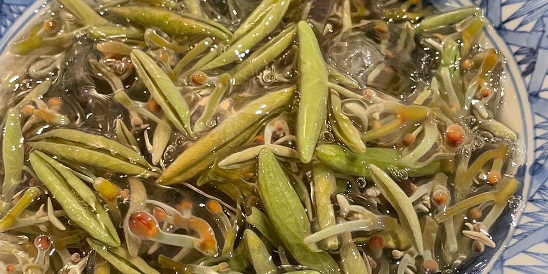 霞町三◯一ノ一（かすみちょうさんまるいちのいち）