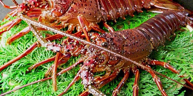 八丁堀駅周辺のランチに個室があるおすすめレストラントップ2 一休 Comレストラン