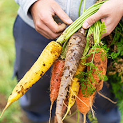 こだわりの魚や野菜