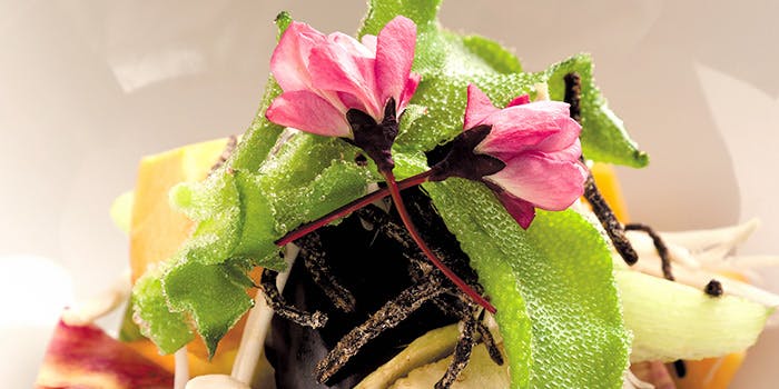 お菜屋 わだ家 新大阪本店（おさいやわだや）