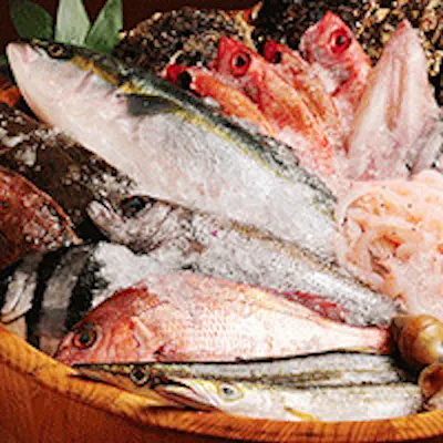 朝採れたての魚介がその日の内に当店へ