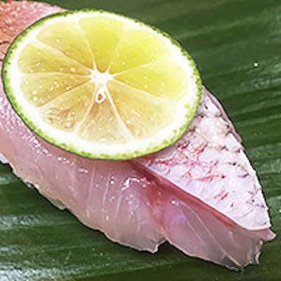 「 漁港から直送 」の新鮮食材