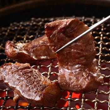 ���{�ē��͂��� �\�Q���X