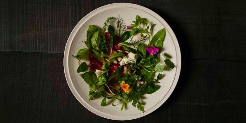 Dinner Course A    Radice