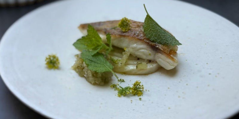 GERMOGLIO