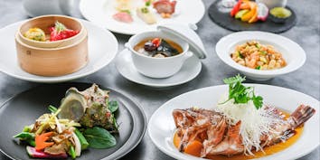 【シーフードコース】スッポンのスープ 海鮮料理 チャーハンなど全7品 - 揚州飯店 本店 横浜中華街