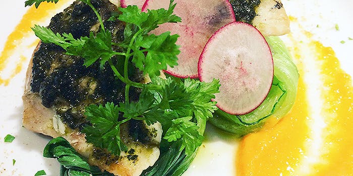 NIKOLABO（ニコラボ）