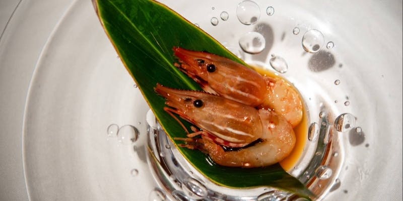 17000 円　2026年1月より予約受付開始（土日祝限定）