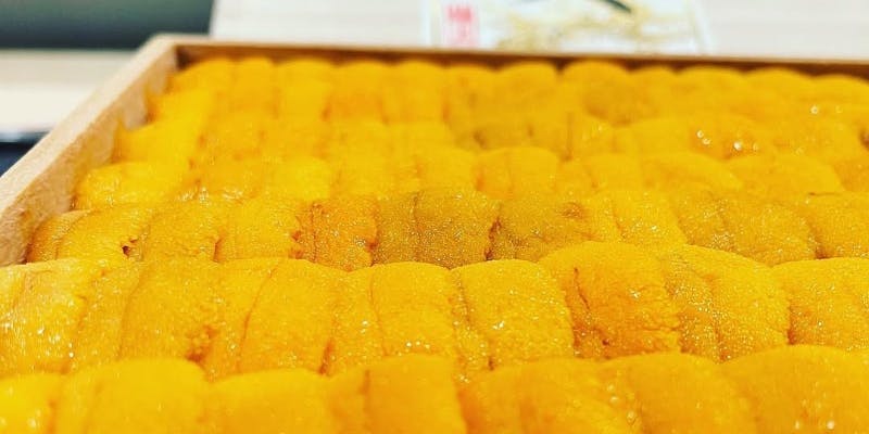 【大将おまかせ特上】おまかせ握り鮨10貫、椀物、焼物など全7品