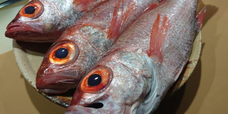 【のどくろ尽くし会席】北陸金沢産の脂がのったのどぐろ使用！焼き物他 全7品（個室or半個室orカウンター）