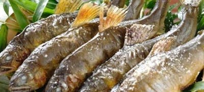 貴船神社周辺ランチ21 おすすめ 絶品お昼ごはん7選 一休 Comレストラン 貴船神社周辺ランチ21 おすすめ 絶品お昼ごはん7選 一休 Comレストラン