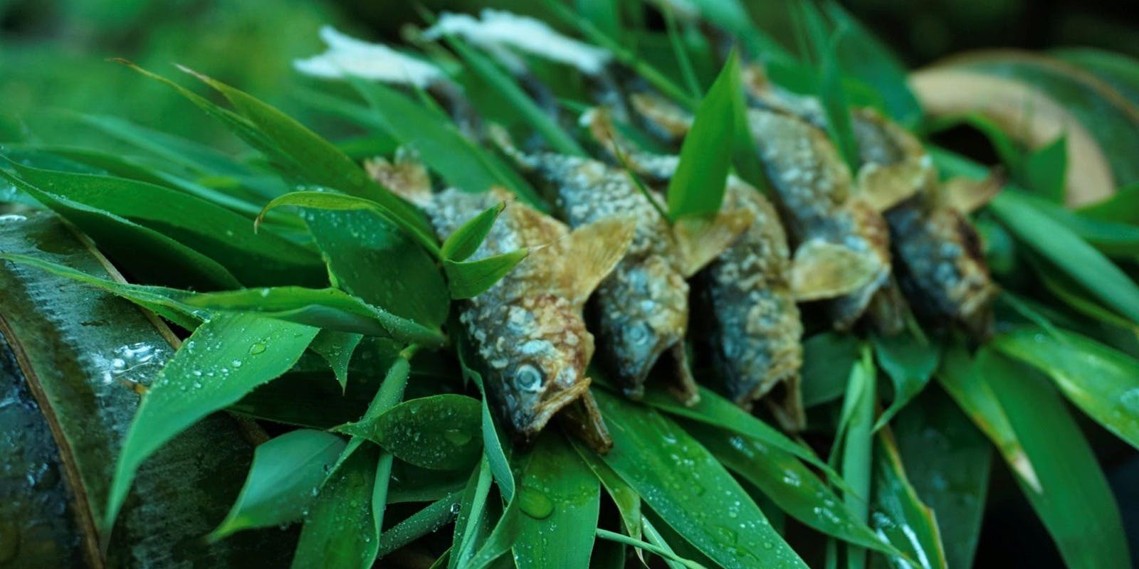 奥貴船 兵衛 - 画像5