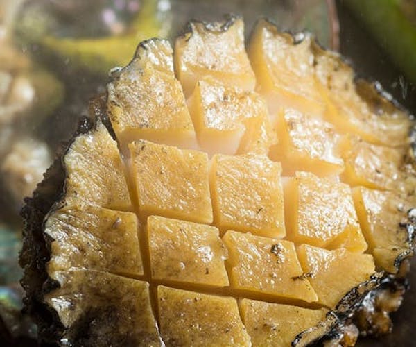 ホテルディナービュッフェ ステーキハウス 桂 札幌プリンスホテル Okaimonoモール レストラン ホテルディナービュッフェ ステーキハウス 桂 札幌プリンスホテル Okaimonoモール レストラン