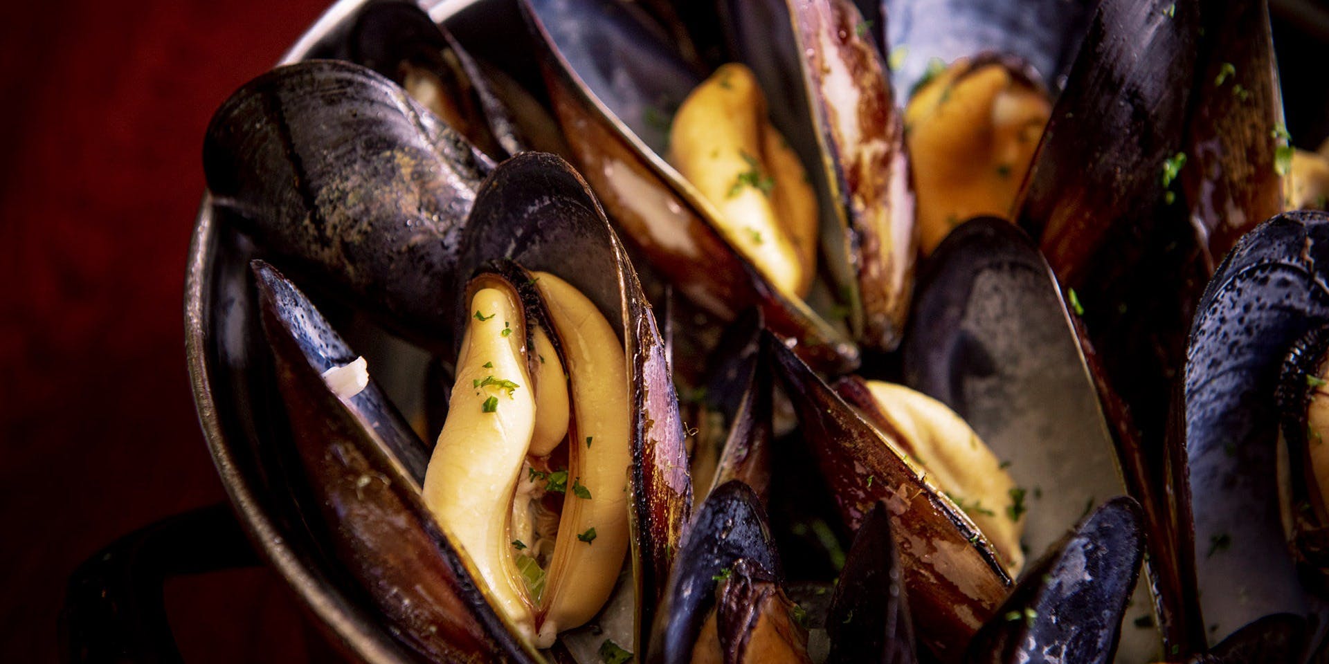 ベルギービール アントワープ セントラル（Antwerp Central）